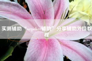 实测辅助“wepoker辅助”分享辅助外挂教程