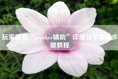 玩家速看“wepoker辅助”详细分享装挂步骤教程