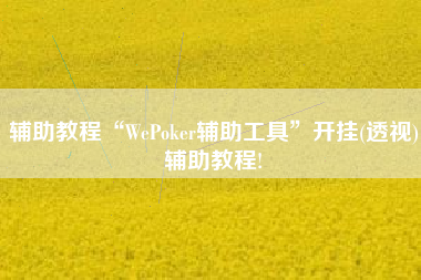 辅助教程“WePoker辅助工具	”开挂(透视)辅助教程!