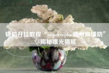 辅助开挂教程“wepokerplus德州局辅助	”√揭秘曝光猫腻