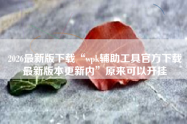 2026最新版下载“wpk辅助工具官方下载最新版本更新内”原来可以开挂