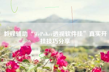 教程辅助“WePoKer透视软件挂	”真实开挂技巧分享
