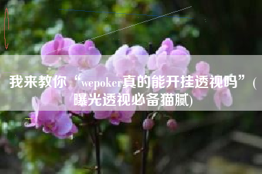 我来教你“wepoker真的能开挂透视吗”(曝光透视必备猫腻)