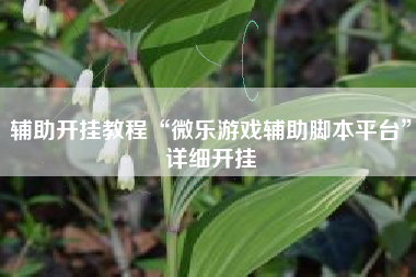 辅助开挂教程“微乐游戏辅助脚本平台	”详细开挂