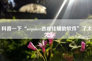 科普一下“wepoker透视挂辅助软件”了太久!