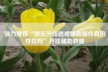 强力推荐“微乐外挂透视辅助插件真的存在吗”开挂辅助教程