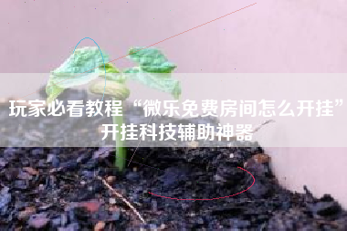玩家必看教程“微乐免费房间怎么开挂”开挂科技辅助神器