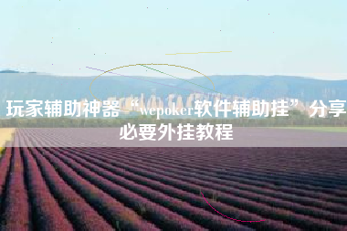 玩家辅助神器“wepoker软件辅助挂	”分享必要外挂教程