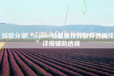 经验分享“wepoker轻量版作弊软件透视挂”详细辅助透视