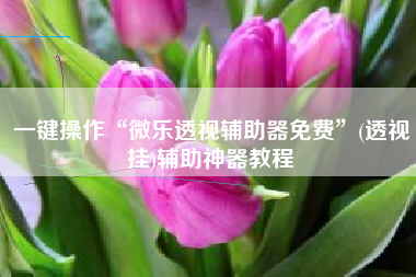 一键操作“微乐透视辅助器免费”(透视挂)辅助神器教程