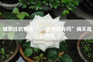 辅助挂机软件“wpk透视挂有吗”确实真的有挂