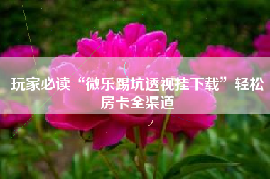 玩家必读“微乐踢坑透视挂下载	”轻松房卡全渠道