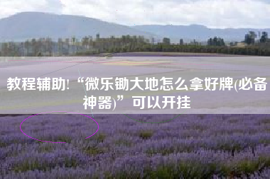 教程辅助!“微乐锄大地怎么拿好牌(必备神器)”可以开挂