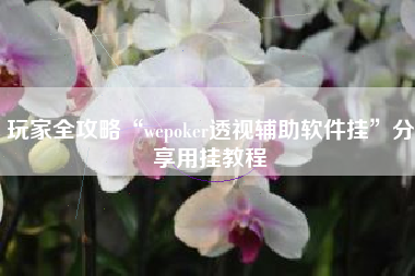玩家全攻略“wepoker透视辅助软件挂”分享用挂教程