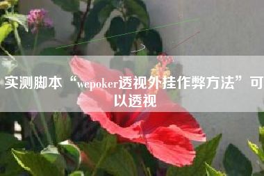 实测脚本“wepoker透视外挂作弊方法”可以透视