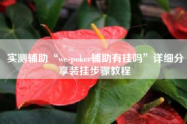 实测辅助“we-poker辅助有挂吗”详细分享装挂步骤教程