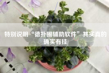 特别说明“德扑圈辅助软件”其实真的确实有挂