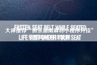 大神推荐“微乐湖南麻将小程序开挂	”全程揭秘开挂教程