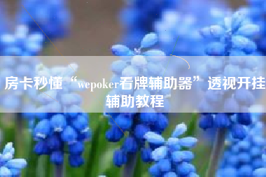 房卡秒懂“wepoker看牌辅助器”透视开挂辅助教程