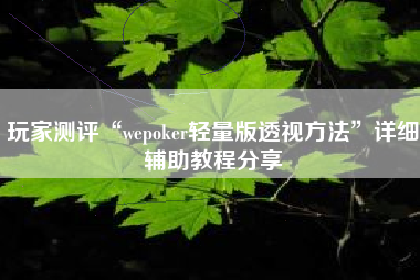 玩家测评“wepoker轻量版透视方法”详细辅助教程分享