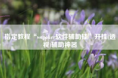 指定教程“wepoker软件辅助挂”开挂(透视)辅助神器