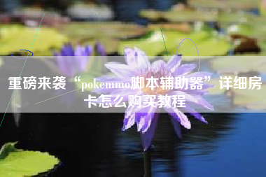重磅来袭“pokemmo脚本辅助器	”详细房卡怎么购买教程