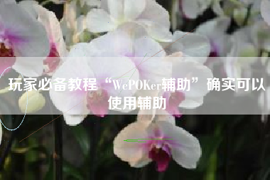 玩家必备教程“WePOKer辅助	”确实可以使用辅助