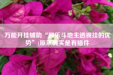 万能开挂辅助“微乐斗地主透视挂的优势”(原来确实是有插件