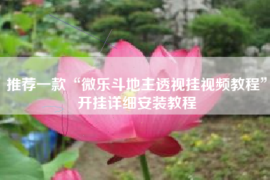 推荐一款“微乐斗地主透视挂视频教程”开挂详细安装教程