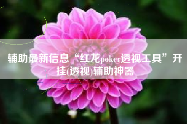 辅助最新信息“红龙poker透视工具	”开挂(透视)辅助神器