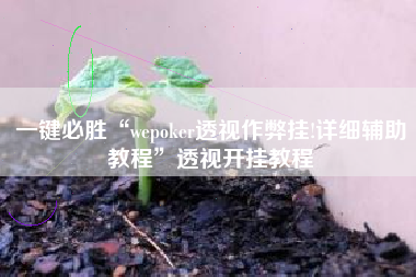 一键必胜“wepoker透视作弊挂!详细辅助教程”透视开挂教程