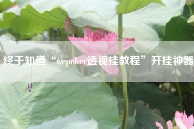 终于知道“wepoker透视挂教程”开挂神器