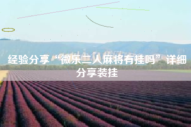 经验分享“微乐二人麻将有挂吗”详细分享装挂