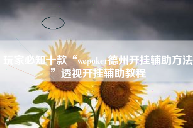 玩家必知十款“wepoker德州开挂辅助方法	”透视开挂辅助教程