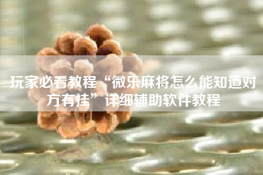 玩家必看教程“微乐麻将怎么能知道对方有挂	”详细辅助软件教程