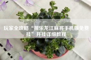 玩家全攻略“微乐龙江麻将手机版免费挂	”开挂详细教程