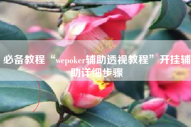 必备教程“wepoker辅助透视教程	”开挂辅助详细步骤