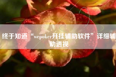 终于知道“wepoker开挂辅助软件”详细辅助透视