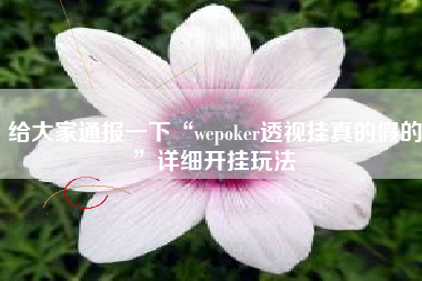 给大家通报一下“wepoker透视挂真的假的	”详细开挂玩法