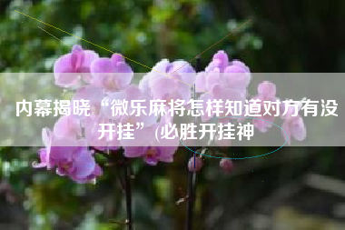 内幕揭晓“微乐麻将怎样知道对方有没开挂”(必胜开挂神