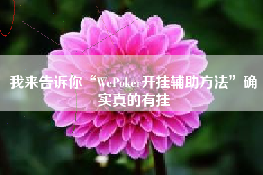 我来告诉你“WePoker开挂辅助方法”确实真的有挂
