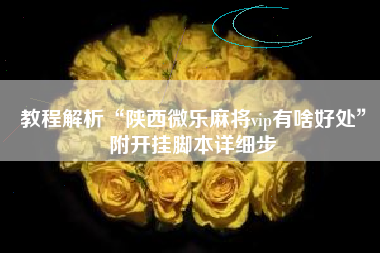 教程解析“陕西微乐麻将vip有啥好处”附开挂脚本详细步