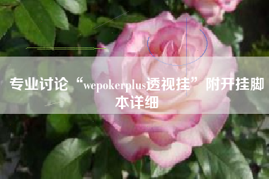 专业讨论“wepokerplus透视挂”附开挂脚本详细
