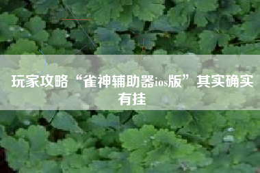 玩家攻略“雀神辅助器ios版	”其实确实有挂