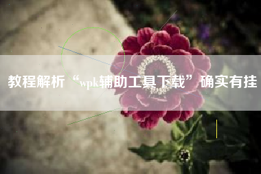 教程解析“wpk辅助工具下载”确实有挂