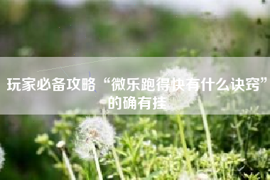 玩家必备攻略“微乐跑得快有什么诀窍	”的确有挂