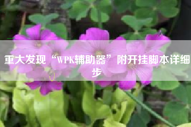 重大发现“WPK辅助器”附开挂脚本详细步
