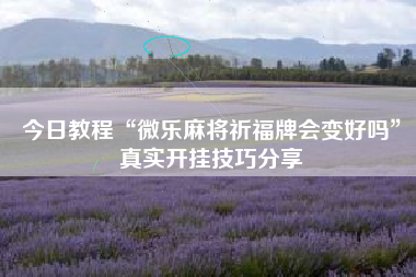 今日教程“微乐麻将祈福牌会变好吗”真实开挂技巧分享