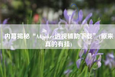 内幕揭秘“AApoker透视辅助下载	”(原来真的有挂)