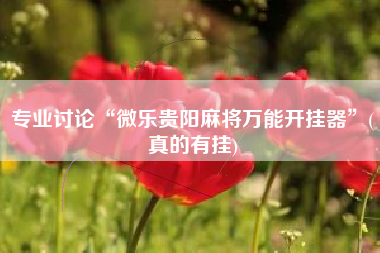 专业讨论“微乐贵阳麻将万能开挂器	”(真的有挂)